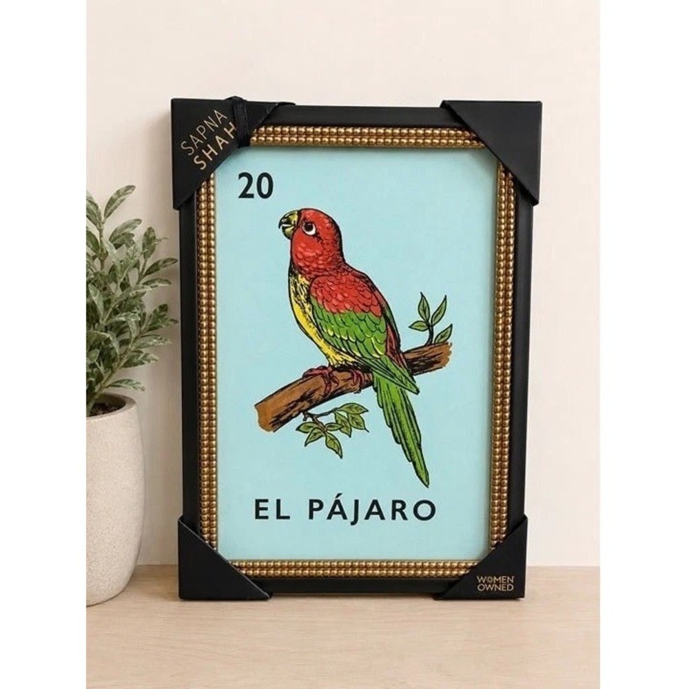 Sapna Shah Mexican La Loteria #20 "EL PARAJO" framed wall art NWT viral decor